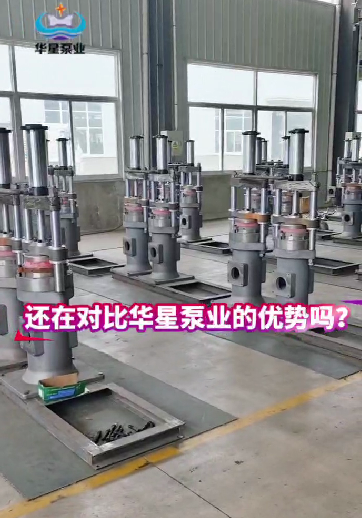 冶金、選礦、含酸礦漿長(zhǎng)距離輸送或給壓濾機(jī)進(jìn)料